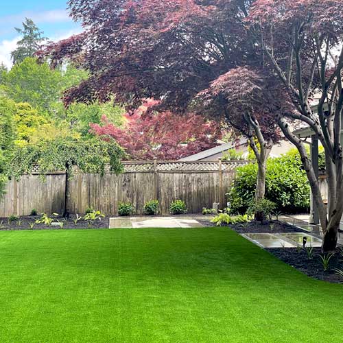 Lawn Maintenance Services