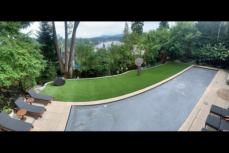 Pool and Lawn