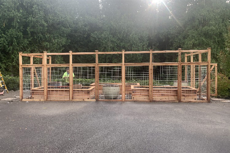 Fenced Garden