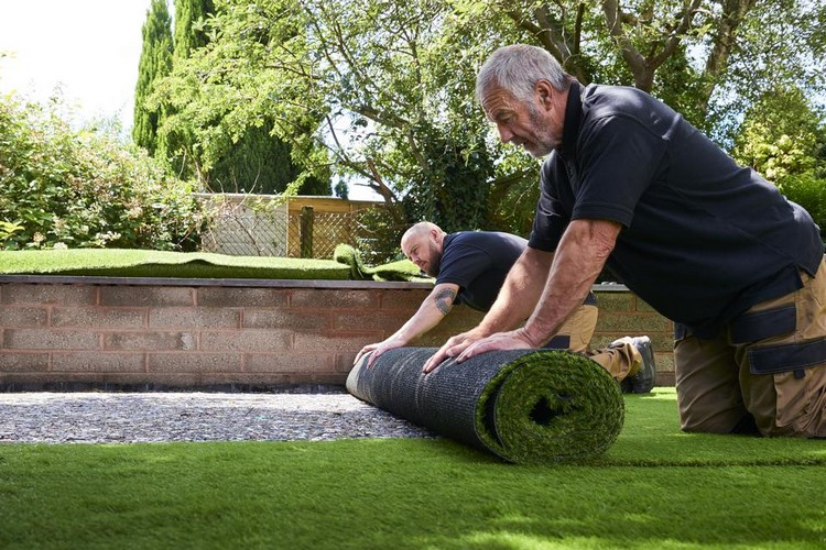 Lawn Maintenance New Sod