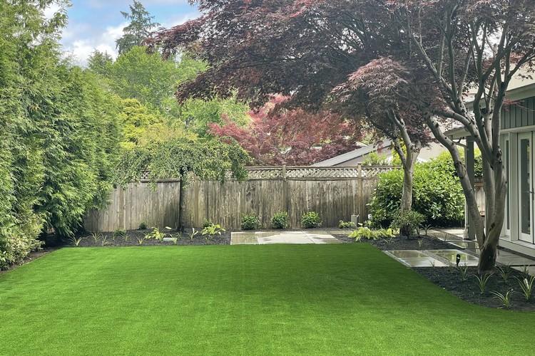 Green Grass All Summer