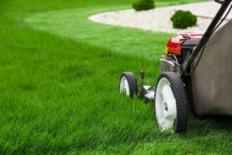 Routine Lawn Mowing