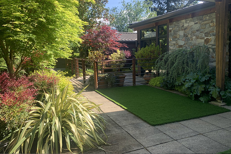 Lawn Maintenance