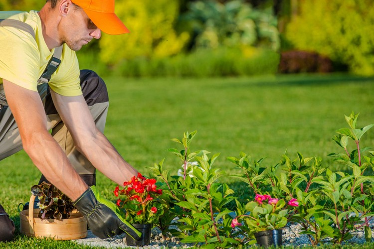 Schedule Landscaping Maintenance