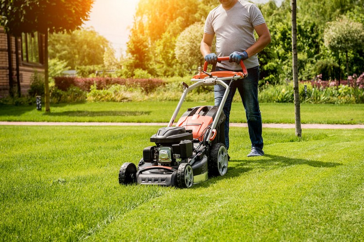 Regular Lawn Mowing Services