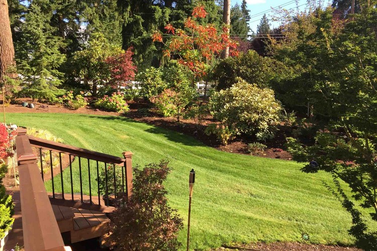 Garden Landscaping Services