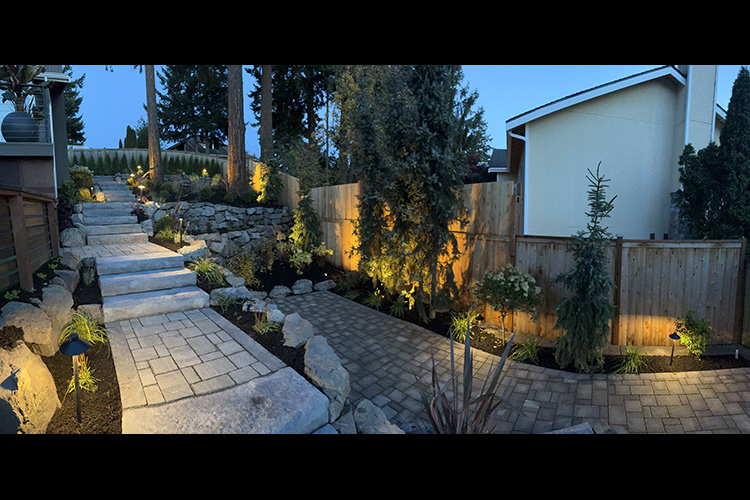 Back Yard Lighting