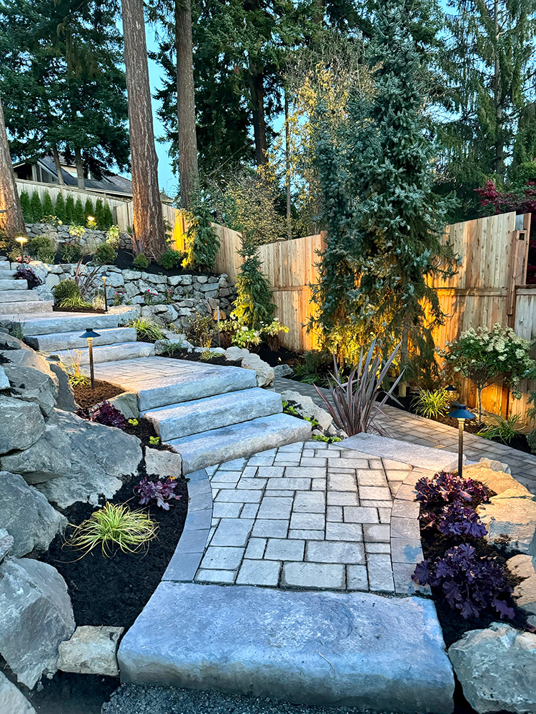 Back Yard and Path Lighting