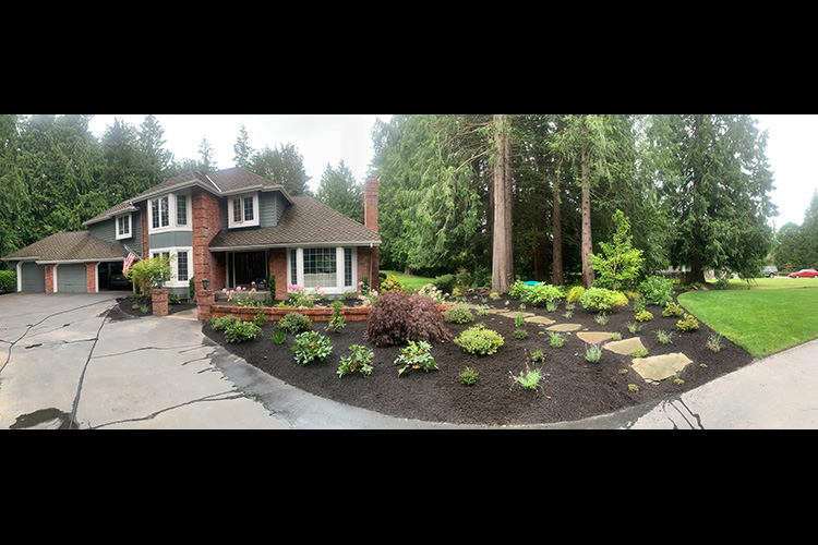 Landscape Renovation