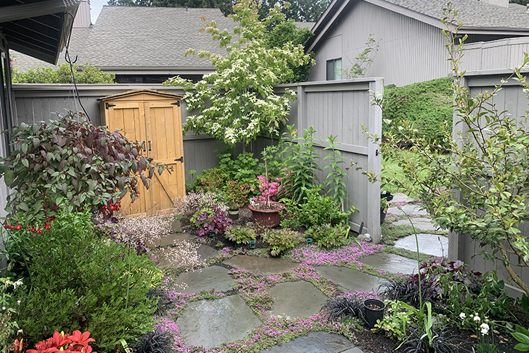 Garden Path