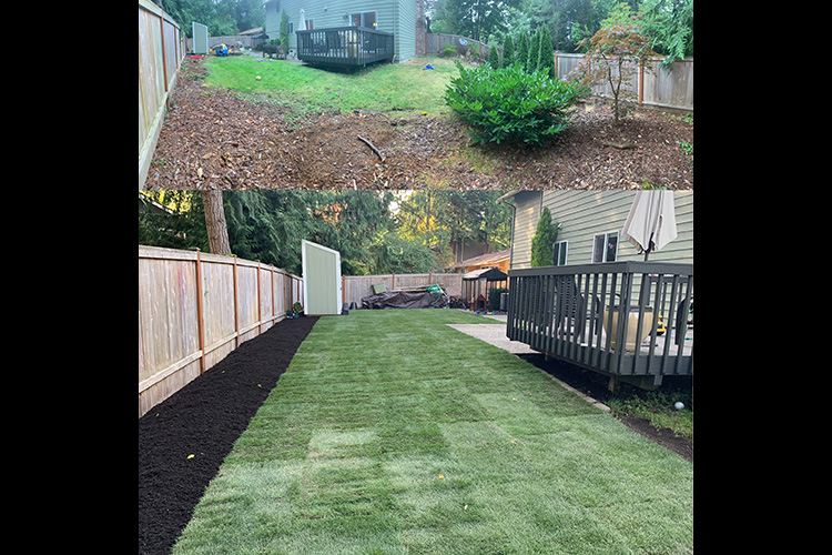 Backyard Renovation