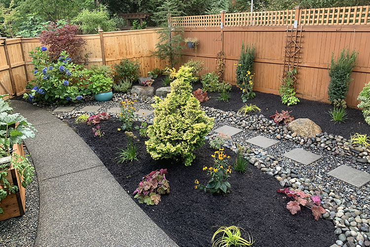 Backyard Path