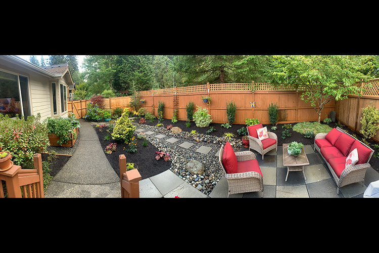 Backyard Renovation
