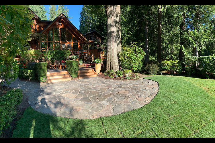 Backyard Renovation