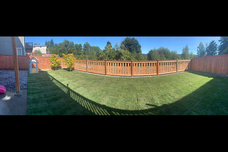 Lawn Renovation