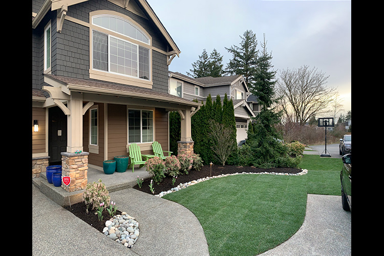 Front Yard Renovation