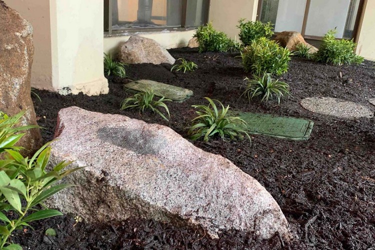 Yard Renovation with Stones