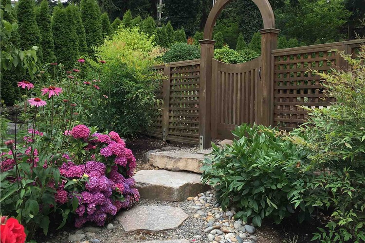 Landscape Renovation