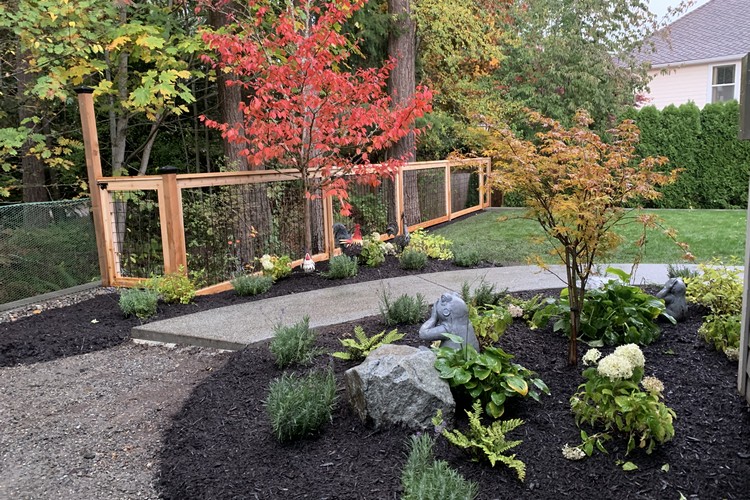 Garden Renovation