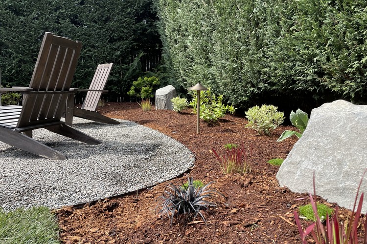 Backyard Renovation