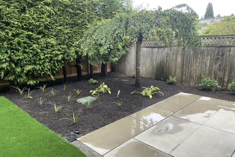Patio with Garden