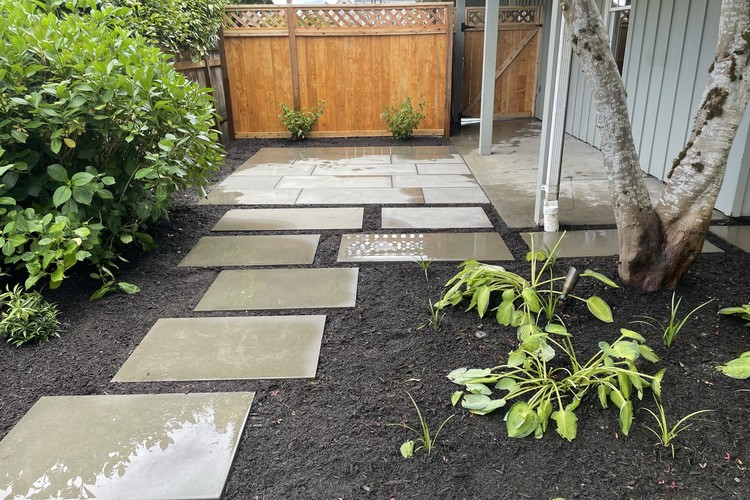 Walkway Through Garden