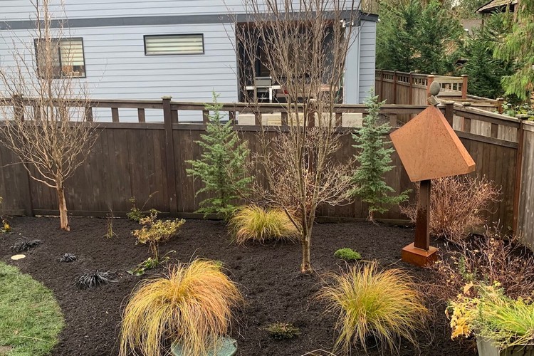Full Yard Renovation