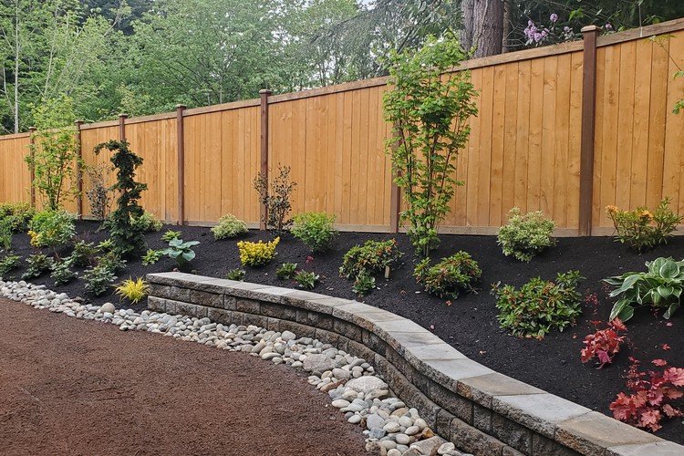 Landscape Renovation
