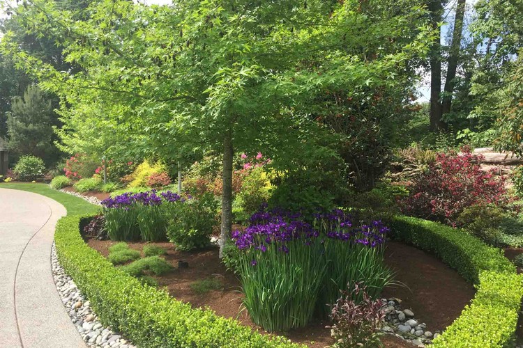 Front Yard Renovation