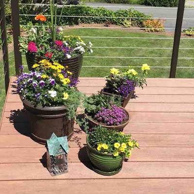 SERVICES_BACK_CompositeDeckServices.jpg