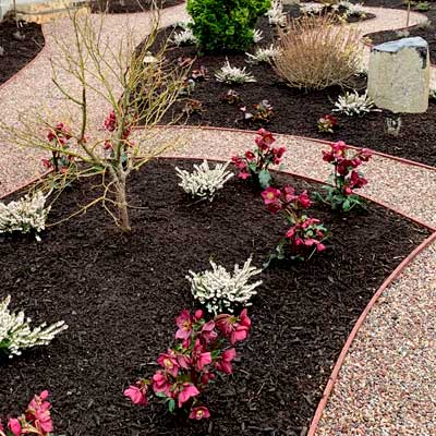 SERVICES_BACK_PlantInstallations.jpg