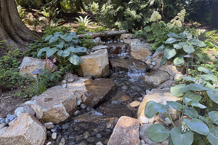 SERVICES_BACK_WaterFeaturesAndFountains.jpg