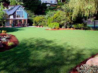 Lawn Maintenance Services