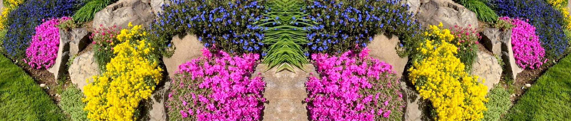 Landscaping Services Near Me, Lawn Mowing Service, Deck Builder, Mulching Services, Landscaping, Landscapers, Lawn Care Near Me Terms of Use
